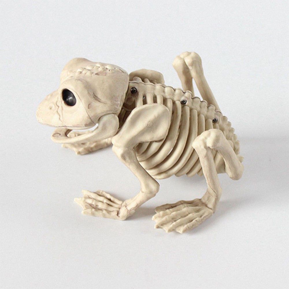 Squelette Animal Dragon grenouille 100% os en plastique | Décoration de fête, accessoire d'horreur, accessoire d'halloween, Animal maison d'horreur
