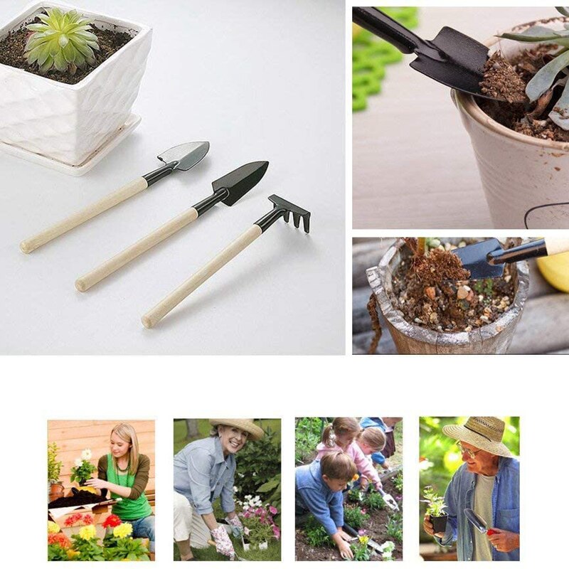 14 Uds Kit de plantador de jardín suculenta herramienta de plantación DIY herramienta de siembra de trasplante herramienta de siembra abono de bonsái Dispositivo de perforación