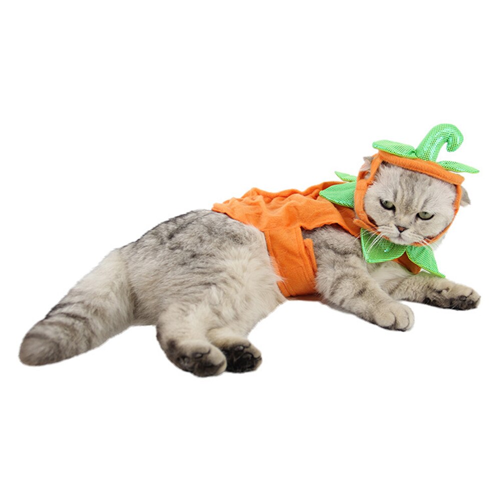 Halloween Party Pet Pompoen Kostuum Voor Honden Katten Kleding Voor Kleine Honden Jassen Jassen Grappig Dressing Cosplay