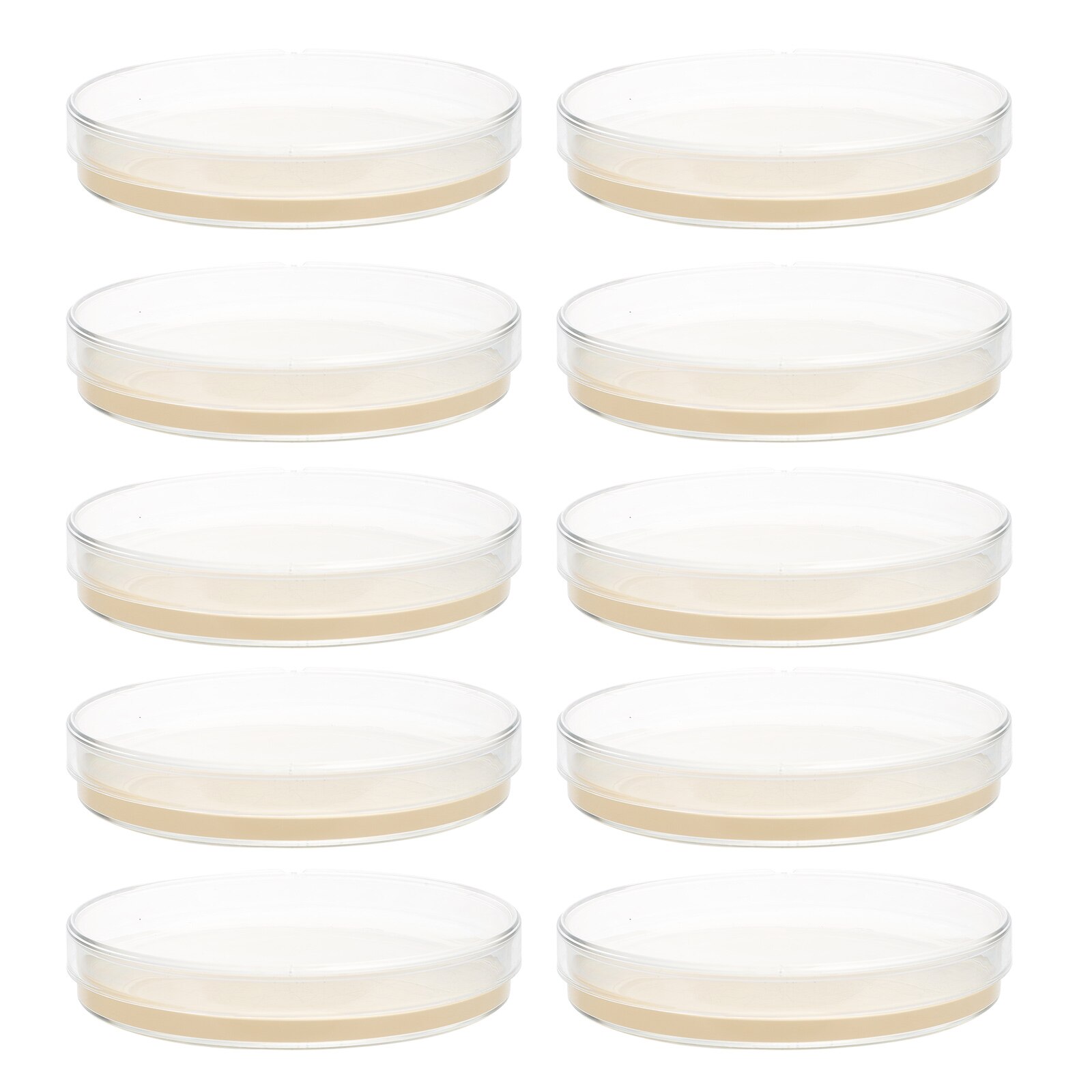 10pcs Petri Dishes with Agar Laboratory Agar Plates General Growth Medium