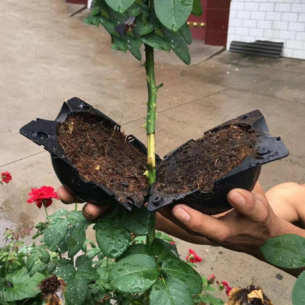 Propagateur Coupe Transparent 10 Boîtes Greffage Plantes - Boules Propagation Haute Pression - Pour Boutures - Transparent Boule Enracinement Réutilisable
