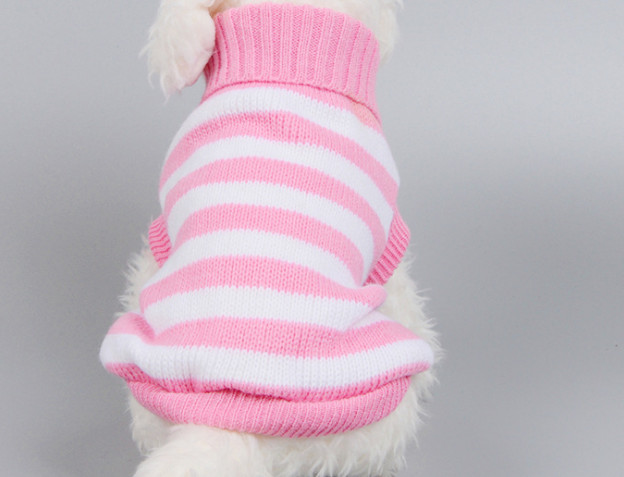 Pull tricot chaton chiot | Chien chat, tricot classique col roulé, tricot animal de compagnie, automne hiver manteau vêtements 3 couleurs