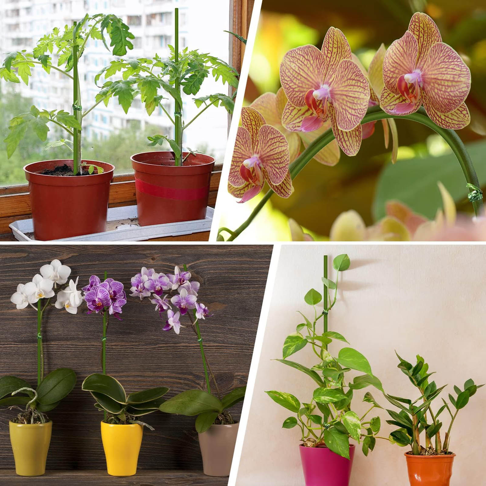 Palos de soporte para plantas, Clips reutilizables para soporte de flores, varilla de orquídeas, palos para plantas trepadoras, herramienta de jardín, 20/40/60 Uds.