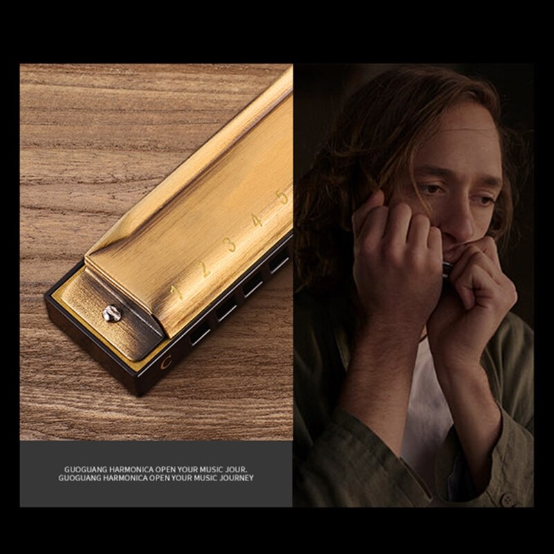 Key of C Blues Harmonica 10 Holes 20 Tones Diatonic Blue Harp Mouth Harmonica Organ for Adults, Players