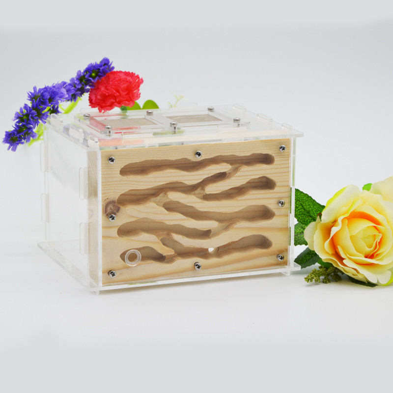 DIY Holz Ameise Bauernhof Ökologischen Acryl Ameise Nest mit Fütterung Bereich Holz Ameise Haus für Haustier Anthill