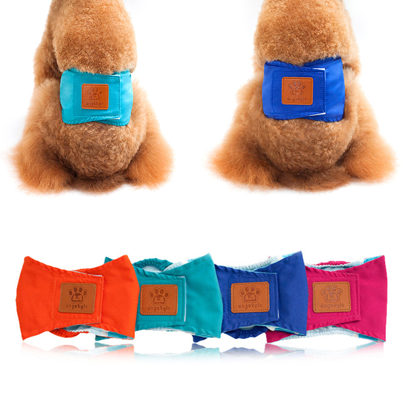 Couche réutilisable pour chien, sous-vêtement en coton, accessoire hygiénique pour animal de compagnie