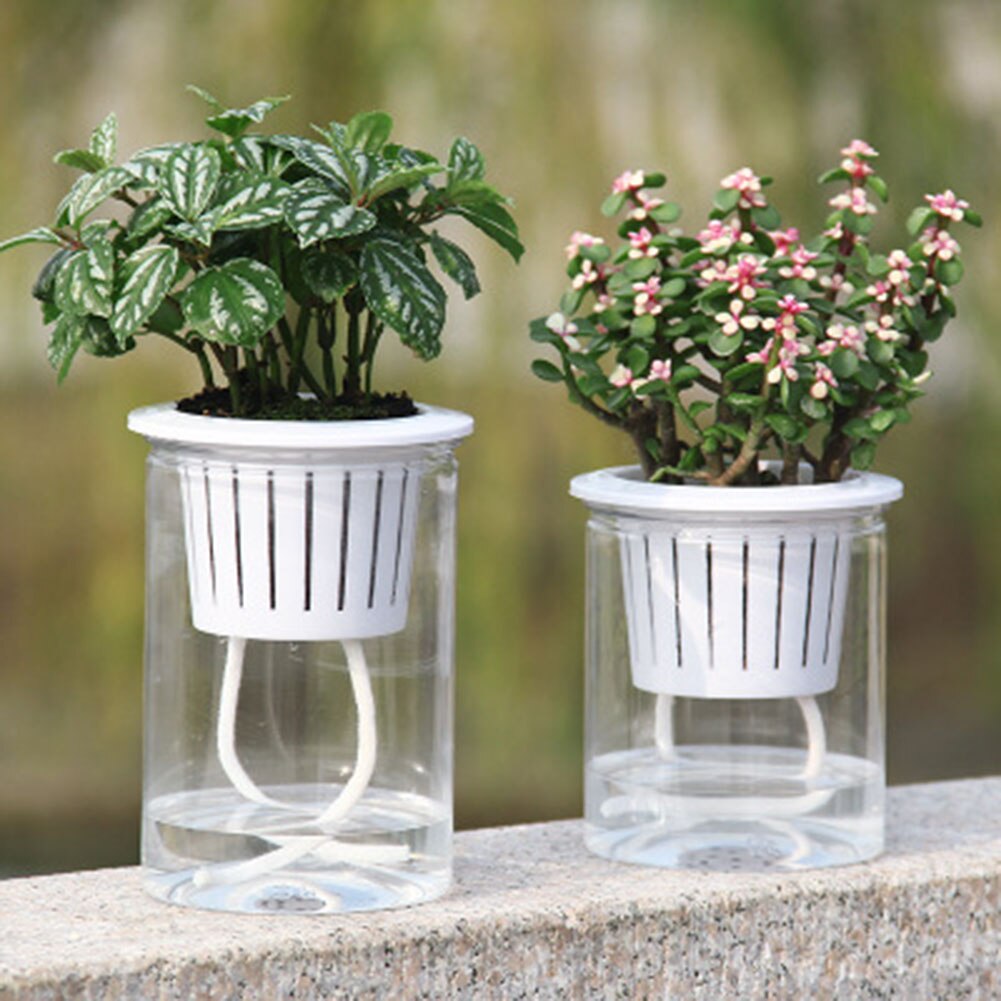 Automatisk absorptionsplantepotte selvvandende udendørs have hjem gennemsigtig blomsterpotte planter container xhc 88