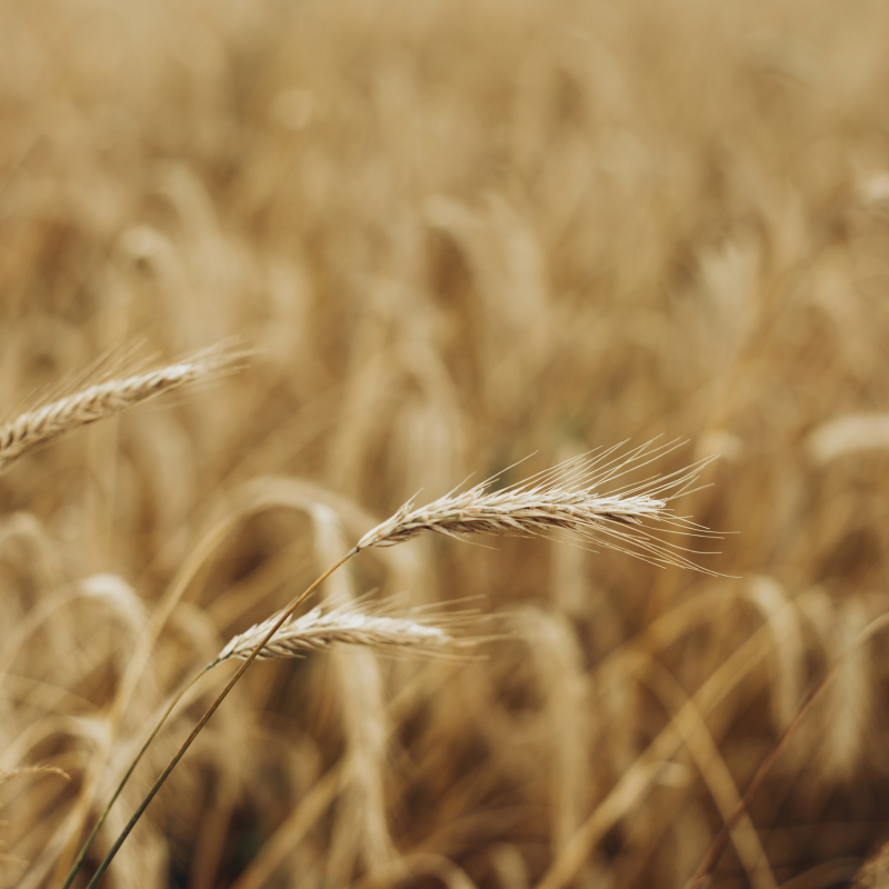 10 PCS Original ML2032 Battery ml2032 ML 2032 Rechargeable Battery CR2032 CR 2032 DL2032 ECR2032