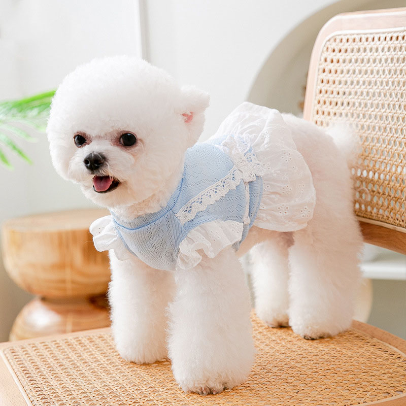 Lente Dunne Hond Kleding Kat Jurk Kleine Hond Kleding Hond Rokken Teddy Huisdier Kleding Zomer Puppy Kleren Dierbenodigdheden