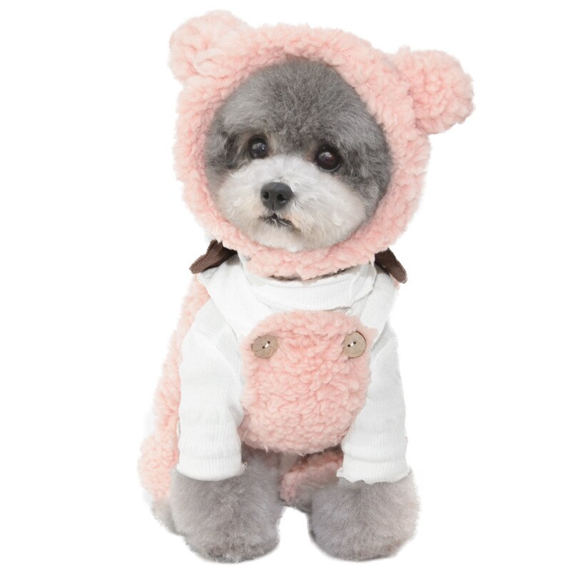 Bonnet en peluche pour chien et chat, chapeau mignon, accessoires de Costume pour animaux de compagnie, , de petit à grand
