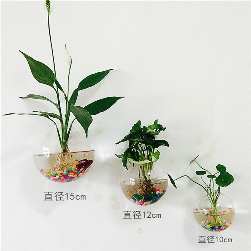 3pcs/pack Diameter=10cm 12cm 15cm Wall Mounted Glass Terrarium Vase with open Home Decorative Hanging Glass Vase Glass Fishbowl