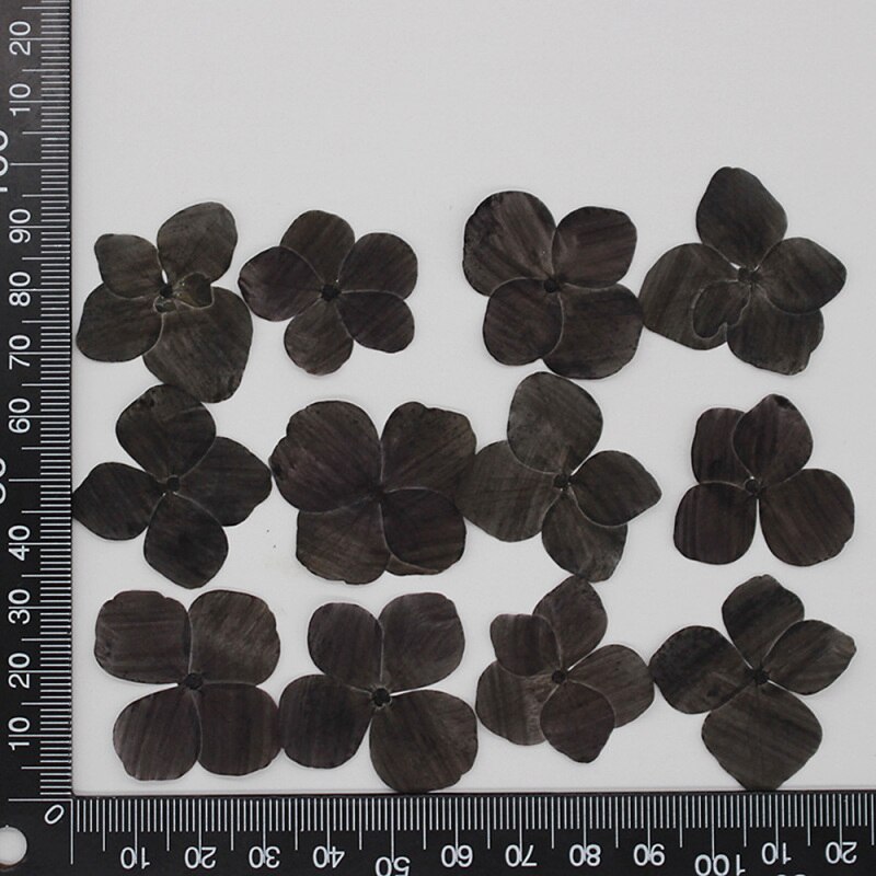 60 stuks/pak hortensia epoxy gedroogde bloemen reliëf plant specimen handgemaakte doe-het-zelf aromatherapie materiaal accessoires: 14