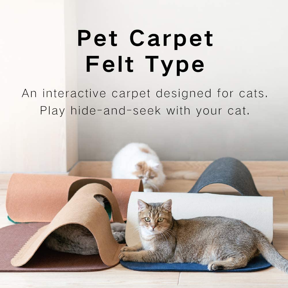 Katteaktivitet legemåtte sammenklappelig kattunnel kæledyrslegetøj sjov og interaktiv center legematte kattunnel legetøj tilfældig farve