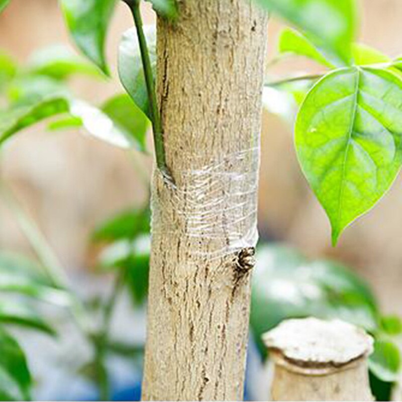 Cinta de unión de jardín 2-5cm cinta de injerto de árboles frutales cinta elástica para jardinería o vivero accesorios de herramientas de injerto para árboles