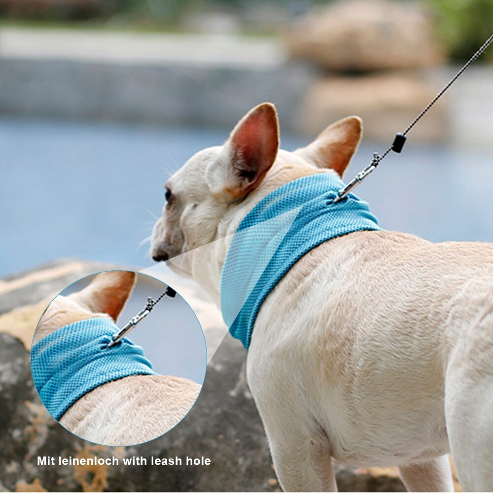 Hundehalsbånd sommer pustende ishåndkle kjæledyrkjølende skjerf for små hunder katt kjølig nakkeomslag rpet hund kjølehalsbånd: Nakke 45cm x 13cm