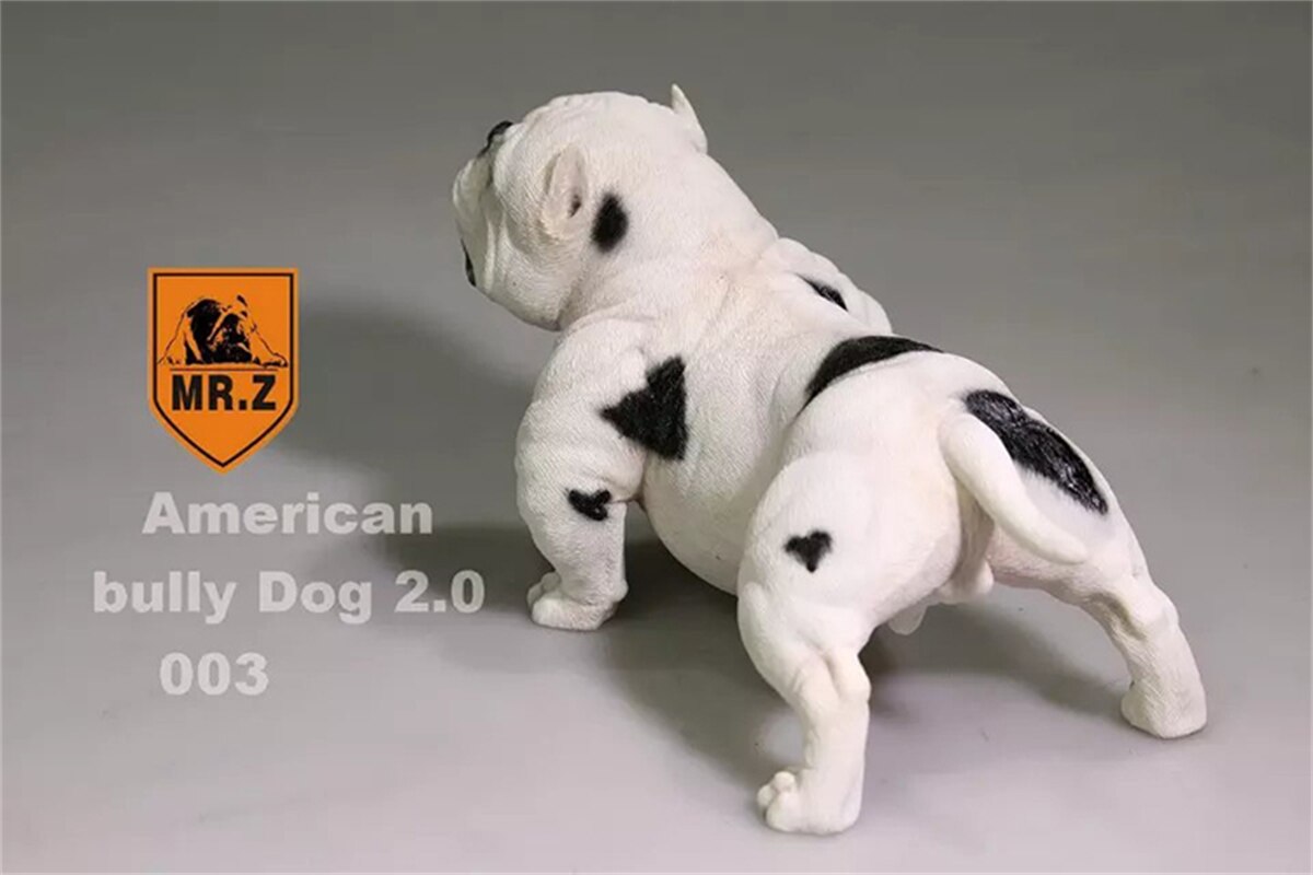 Mr.Z Studio 1:6 American Bully Pitbull Dog Pet Figure Animal Toy Collector Xmas Play Decoration Ornaments Hand To Do