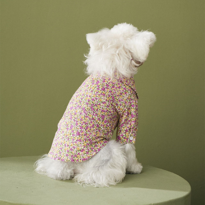 Ubranka dla psa sznaucer pomorska jesienna koszulka dla zwierząt dla małych psów koszula pudel York Dog koszulki Bichon strój francuski kostiumy