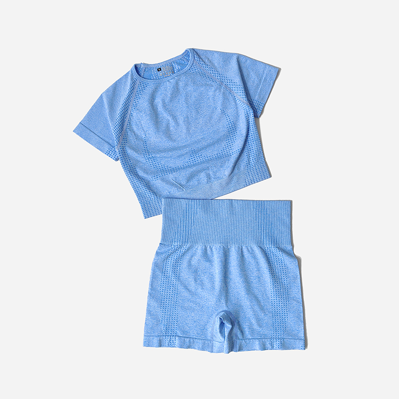 Conjunto de Yoga sin costuras para mujer, Top corto, camisa de manga corta, pantalones cortos de Fitness, ropa de entrenamiento para mujer, ropa de gimnasio, conjunto deportivo de Yoga