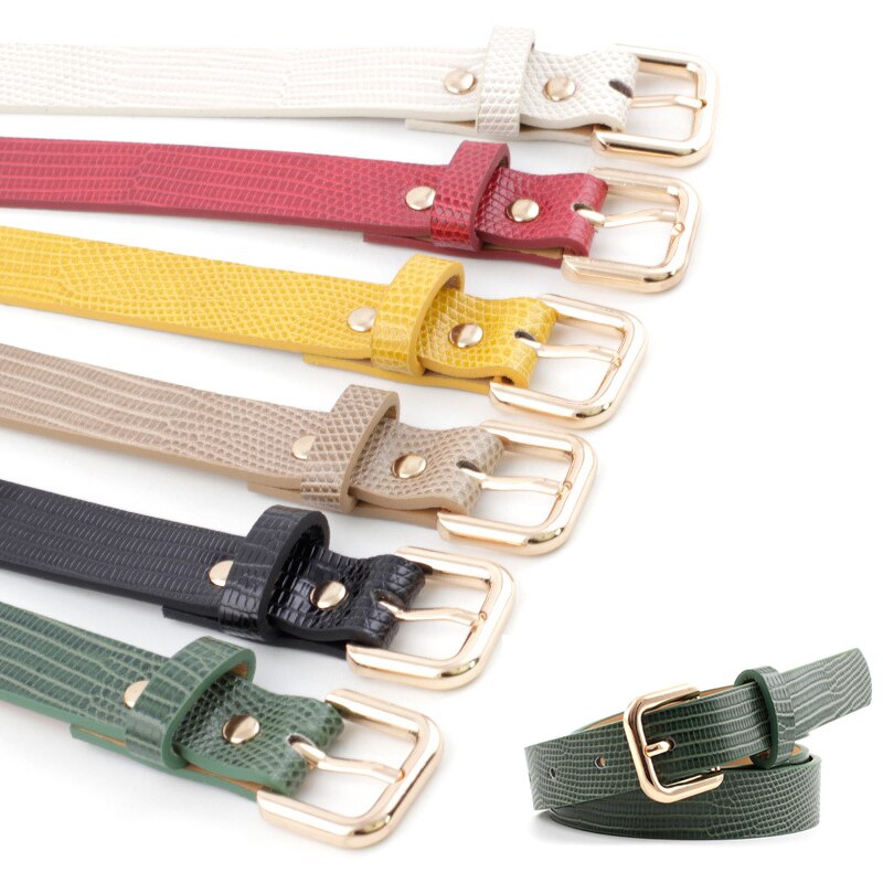 Effen Kleur Riemen Voor Vrouwen Gold Vierkante Pin Gesp Taille Riem Pu Lederen Riem Dames Snake Patroon Jurk Jeans Riem