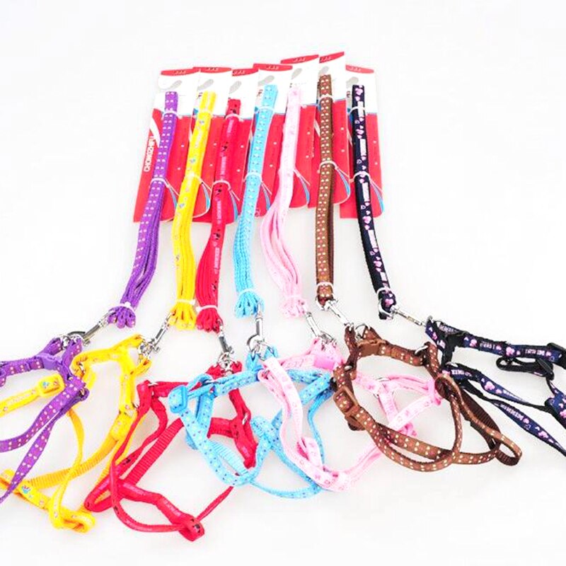 Bilayer-Collar con correas de nailon para perro, conjunto de arnés de correa de plomo para gato, chaleco para caminar, tren de plomo, ajustable y duradero