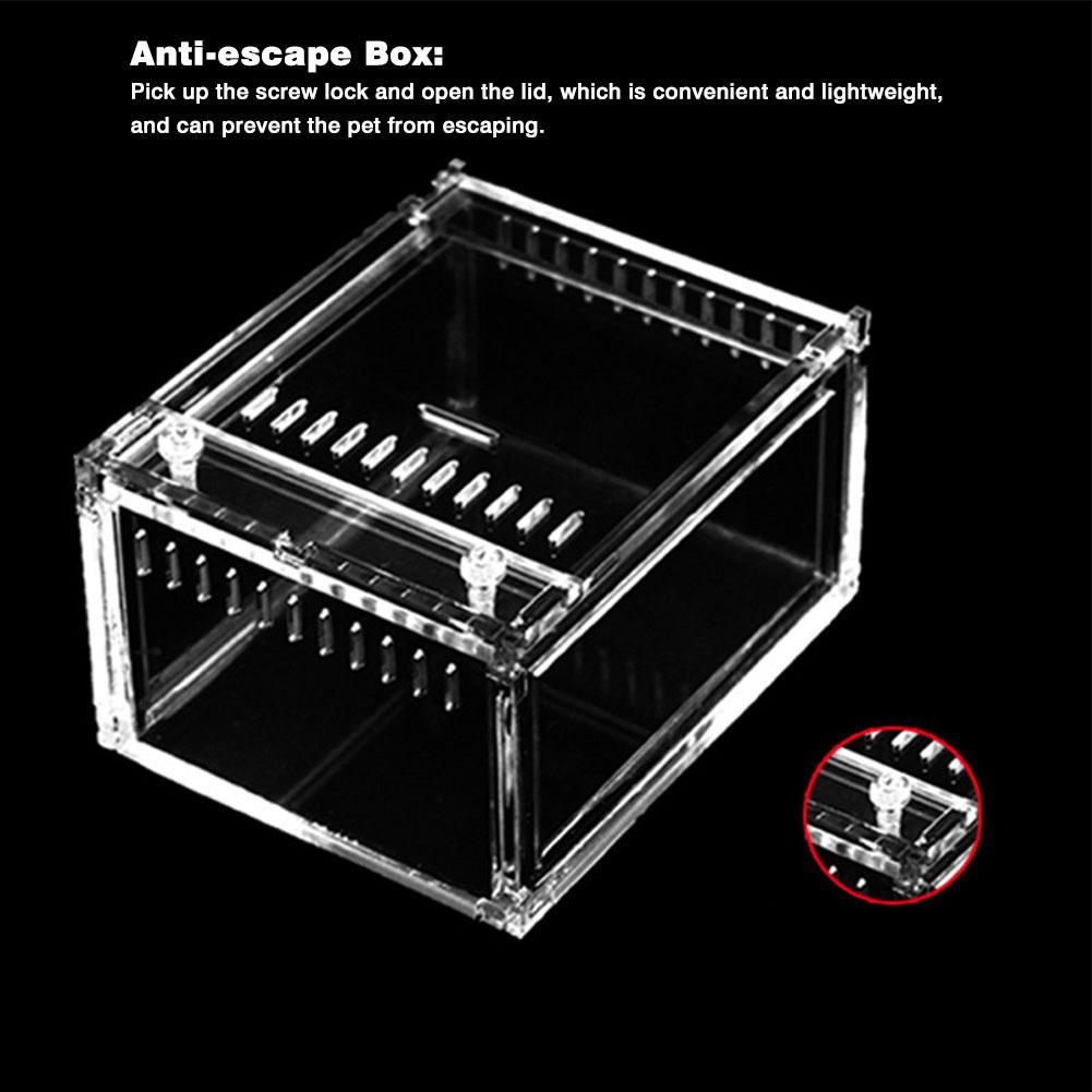 Reptile Tank Insect Spiders Tortoise Lizard Acrylic Transparent Breeding Box Vivarium Lid Reptile Pet Product Terrarium S/L Size