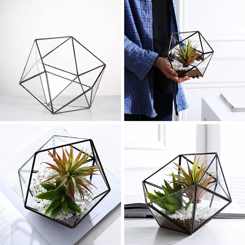 Glasglas terrarium förvaringslåda smyckeshållare, glas geometrisk terrarium bordsskiva saftig växtlåda planteringshållare/guld