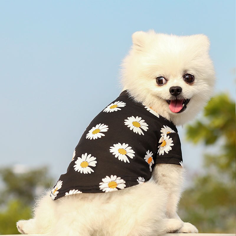 Casual Pug Hond Shirts T-shirt Zomer Kleine Hond Kleren Chihuahua Reizen Schattige Puppy Teddy Hemdje Huisdier Kleding Ropa Perro: Black / XL