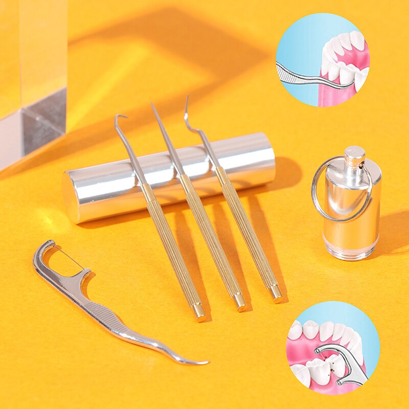 5Pcs Reusable Toothpick Travel Fruit Fork Metal Flossing Teeth Cleaning Tool Portable Stainless Steel Metal Toothpick