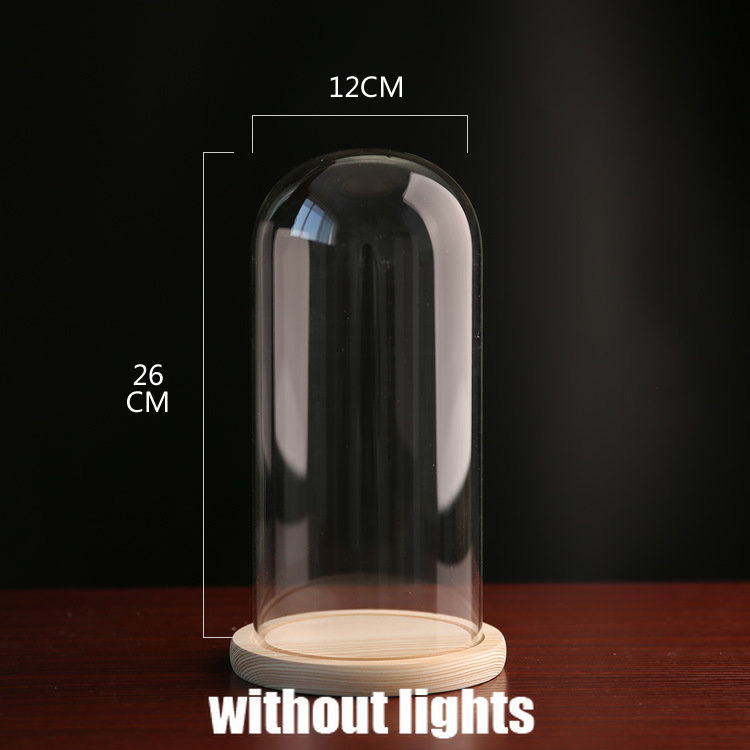 Tabletop Display Glass Cover Terrarium Container Decor Dry Flower Ornaments Craft Bell Jar Wood Base with Feet LED Light Holder: Clear