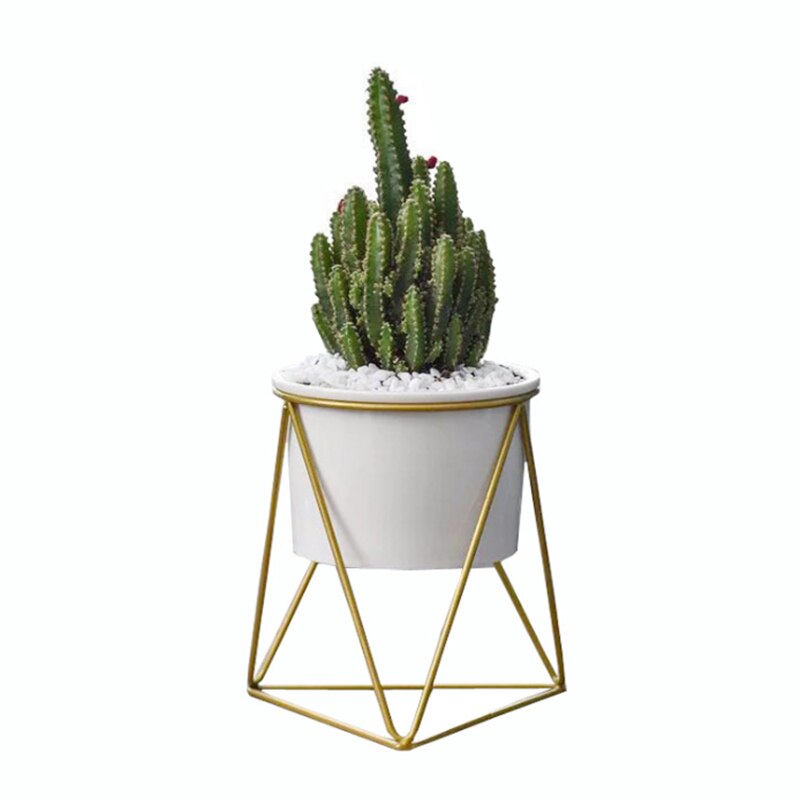 Wall-mounted flower pot Nordic wall white ceramic wrought iron green plant water culture green radish medium interior decoration: A