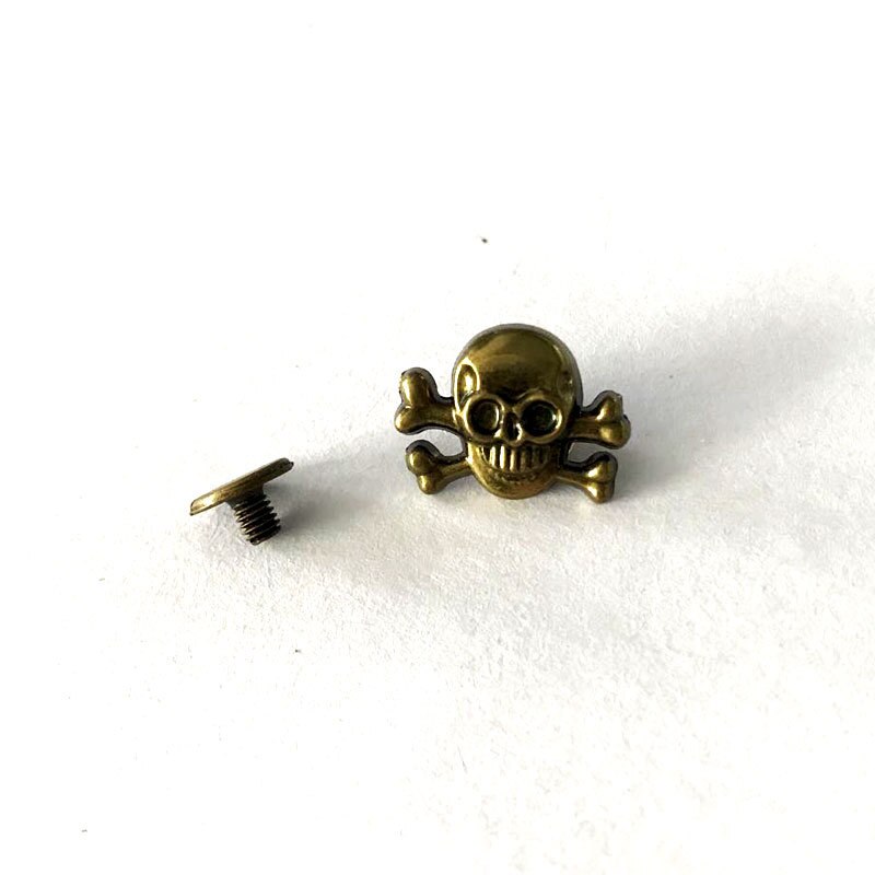 XUNZHE – vis tête de mort en alliage Punk, 10 pièces, Rivet pour bricolage, sac en cuir, chaussures, chapeaux, ceinture, décoration de vêtements: Bronze skull2