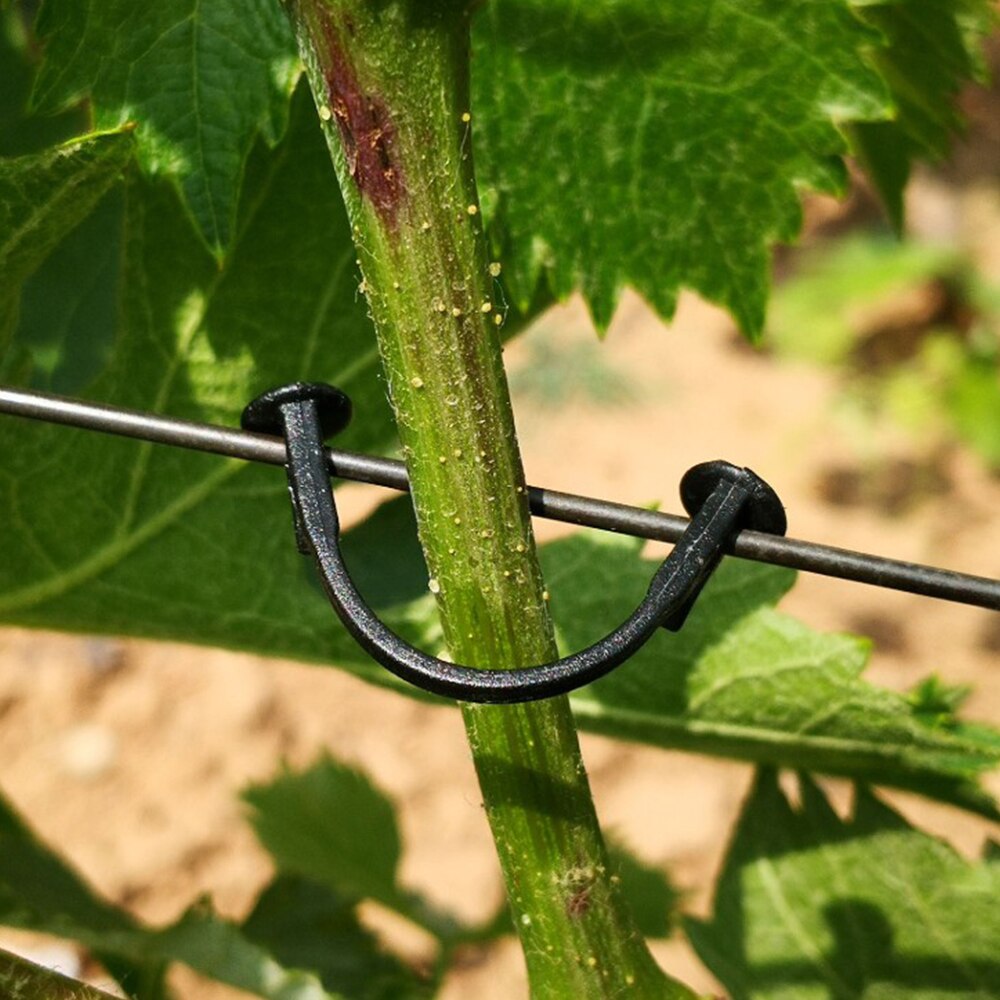 100Pcs/Lot Plants Bundled Lashing Hook Garden Accessories Fixed for Vegetable Strapping Of fruit Vines Climbing Support