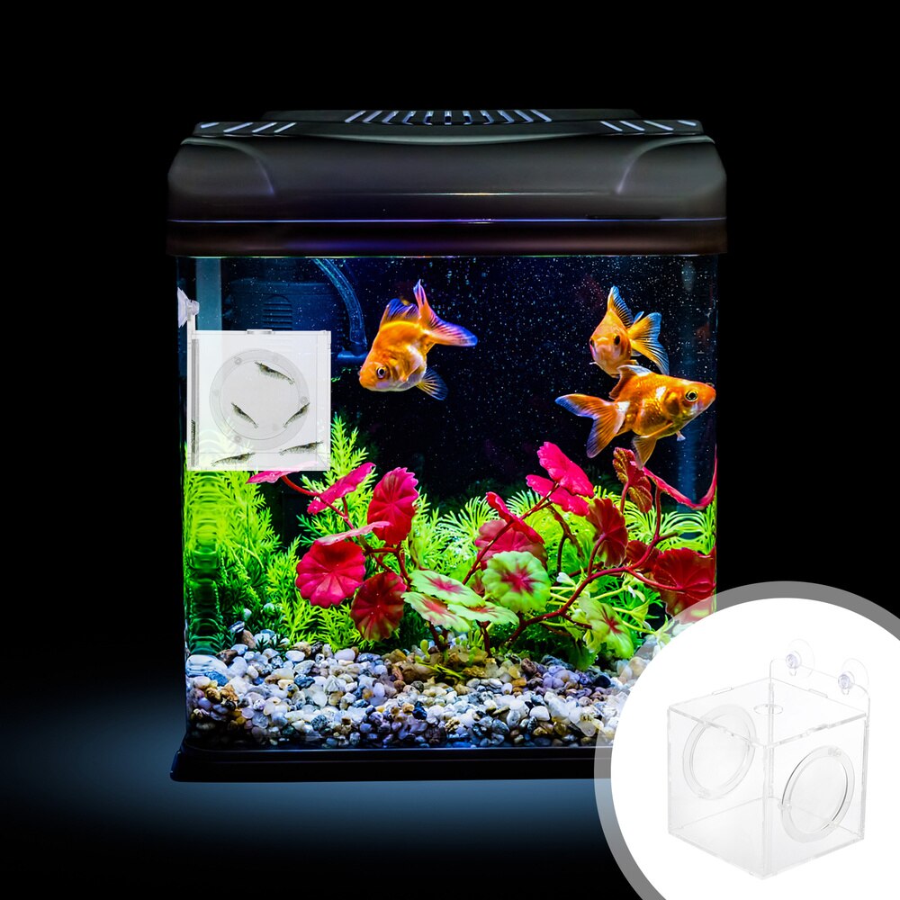 Acrylic Aquarium Incubator Box Transparent Breeding Tank for Fish Tank (10cm)