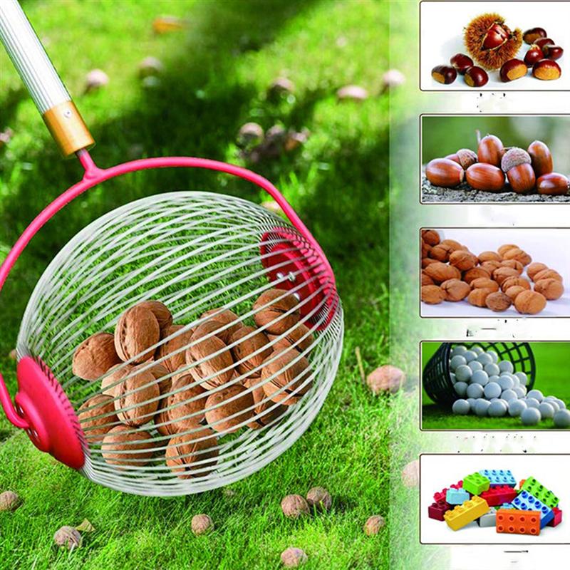 Household Nut Gatherer Fruit Collector Rolling Harvester Picker for Picking Up chestnut lemon pecan acorn walnut gardening tool