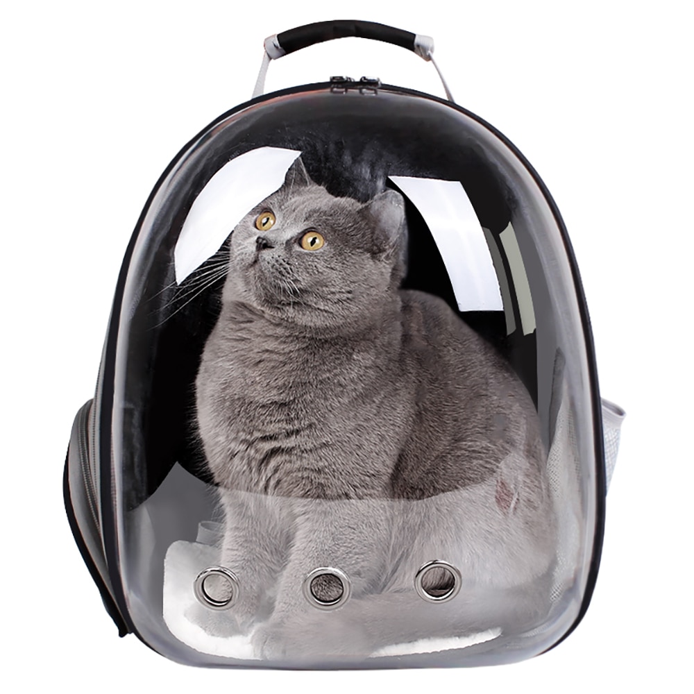 Kat Draagtas Ademende Transparante Puppy Kat Rugzak Katten Doos Kooi Kleine Hond Pet Travel Carrier Handtas Ruimte Capsule: Black