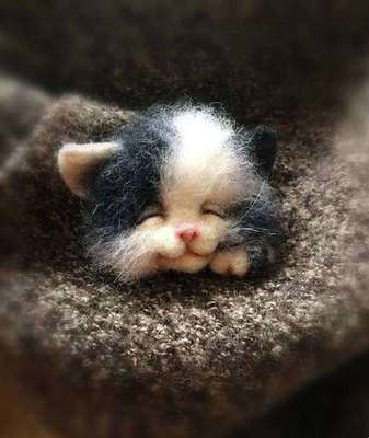 Diy Dieren Broche Vos Hond Kat Wol Naaldvilten Materiaal Pakket Wolvilt Craft Poke Set Handwerk: 17