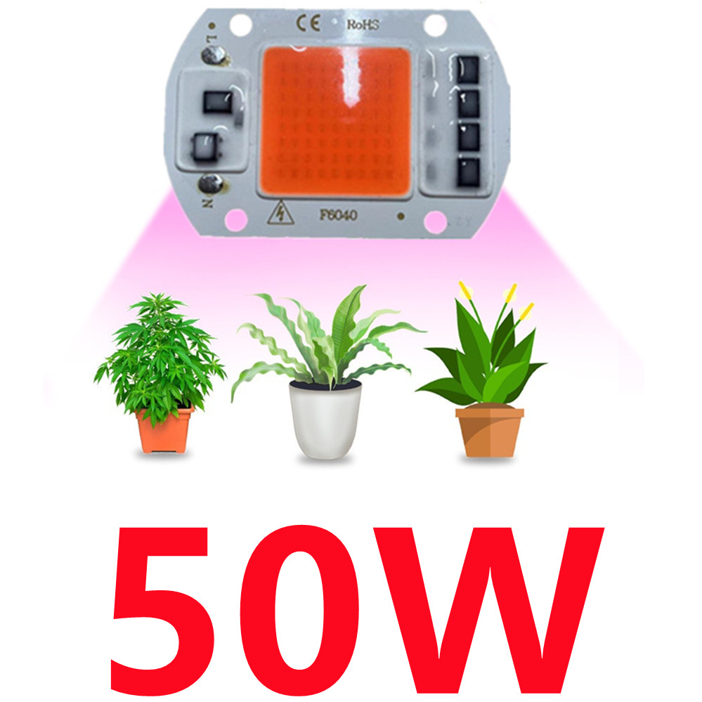 Chip de luz LED COB de espectro completo AC 220V 10W 20W 30W 50W-100W sin necesidad de controlador para el crecimiento de plántulas de flores iluminación de plantas: Blanco / 20 W