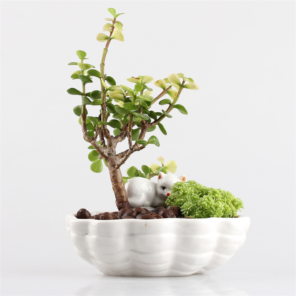 Leuke Katten Kitten Keramische Bloempot Bonsai Aardewerk Plantenbakken Bloembakken Tuin Porselein Jardin Succulent Decor Macetas