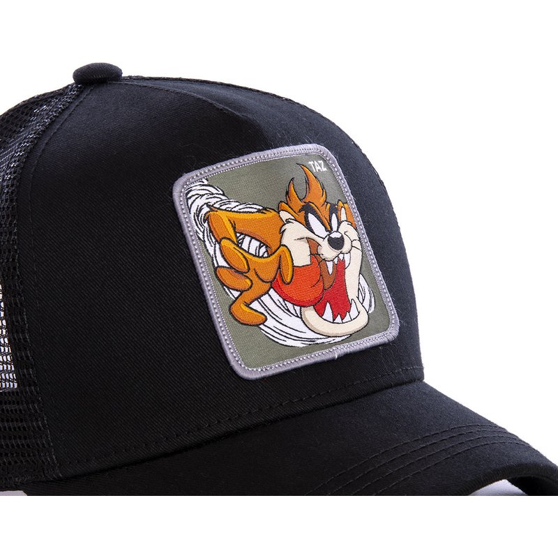 DAFFY COYOTE-gorra de béisbol con de conejo para hombre y mujer, gorro de béisbol con estampado de dibujos animados, Snapback TAZ ROAD, triangulación de envíos