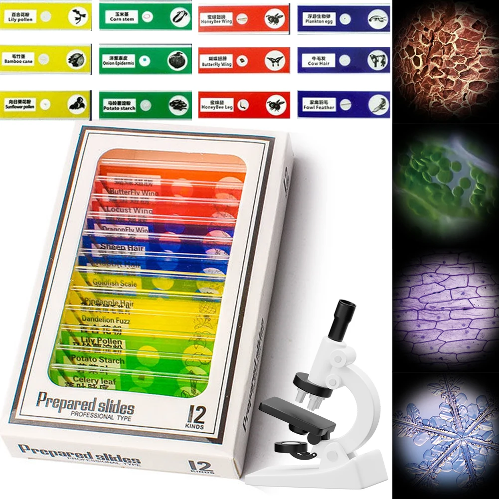 Mini microscopio educativo de mano para niños, Kit de microscopio biológico portátil, 60-180 aumentos: Default Title