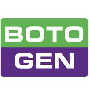 Botogen Engine Flush Plus 300 ml