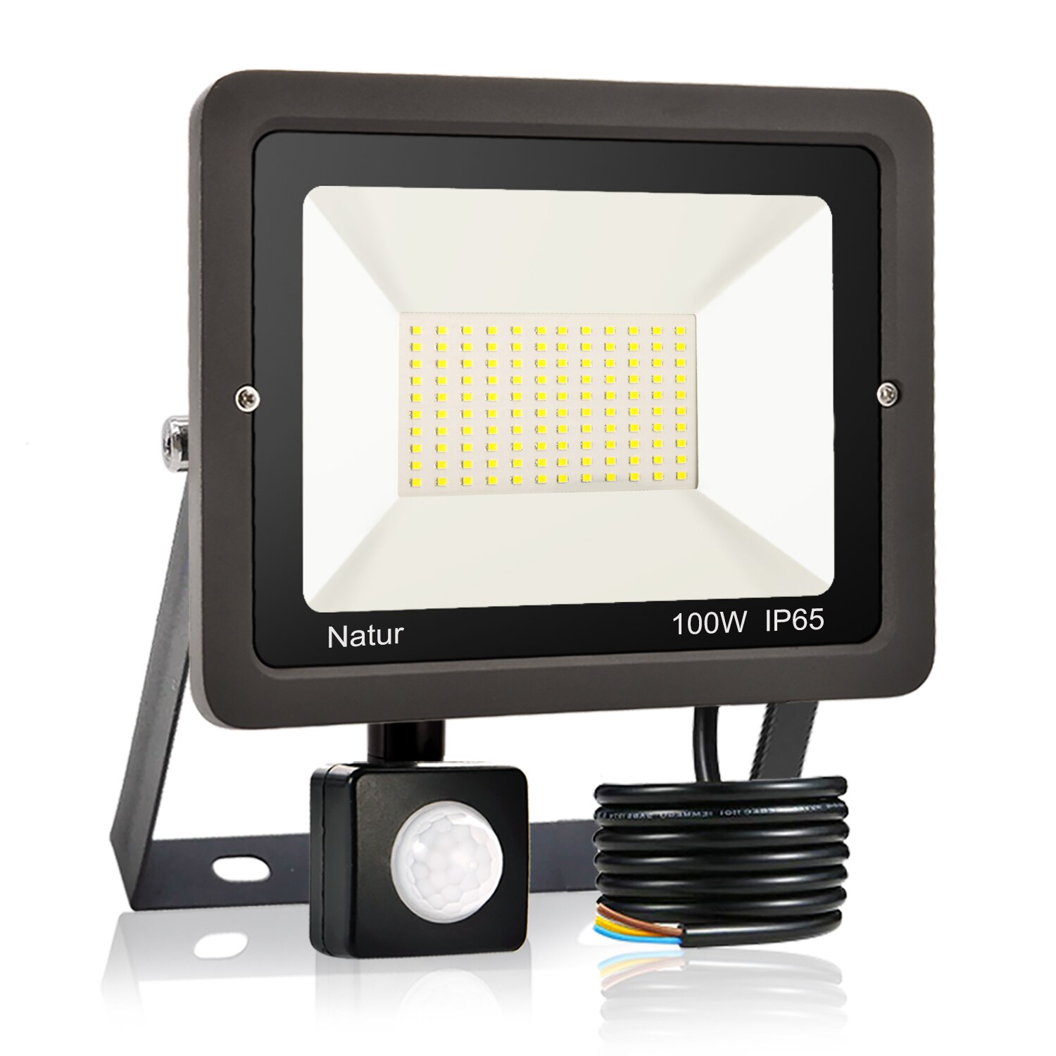 PIR Motion Sensor LED Flood Light 10W20W 30W 50W 100W Outdoor Floodlight 220V Waterproof IP65 Spotlight Garden Wall Street Light: 100W