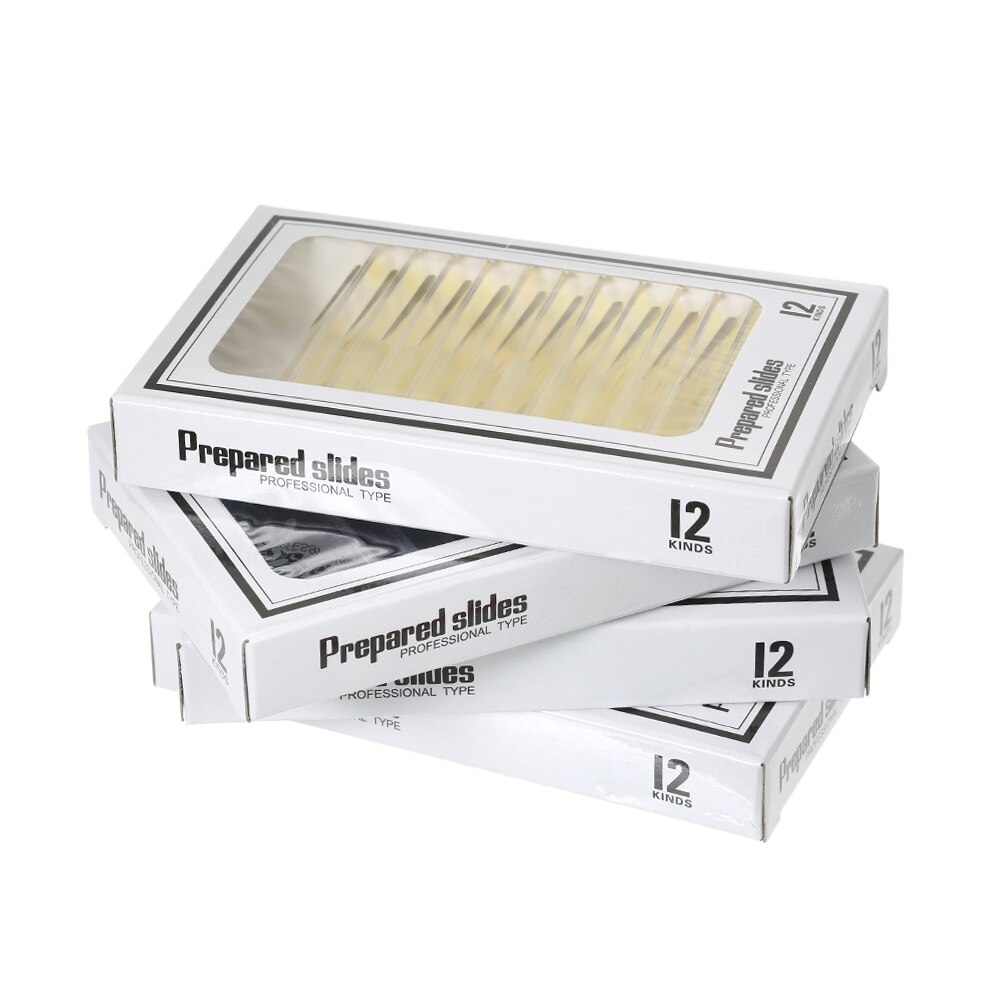 35/48 Piece of Microscope Specimen Slide Biological Prepared Digital Microscope Specimen Slide Primary and Secondary