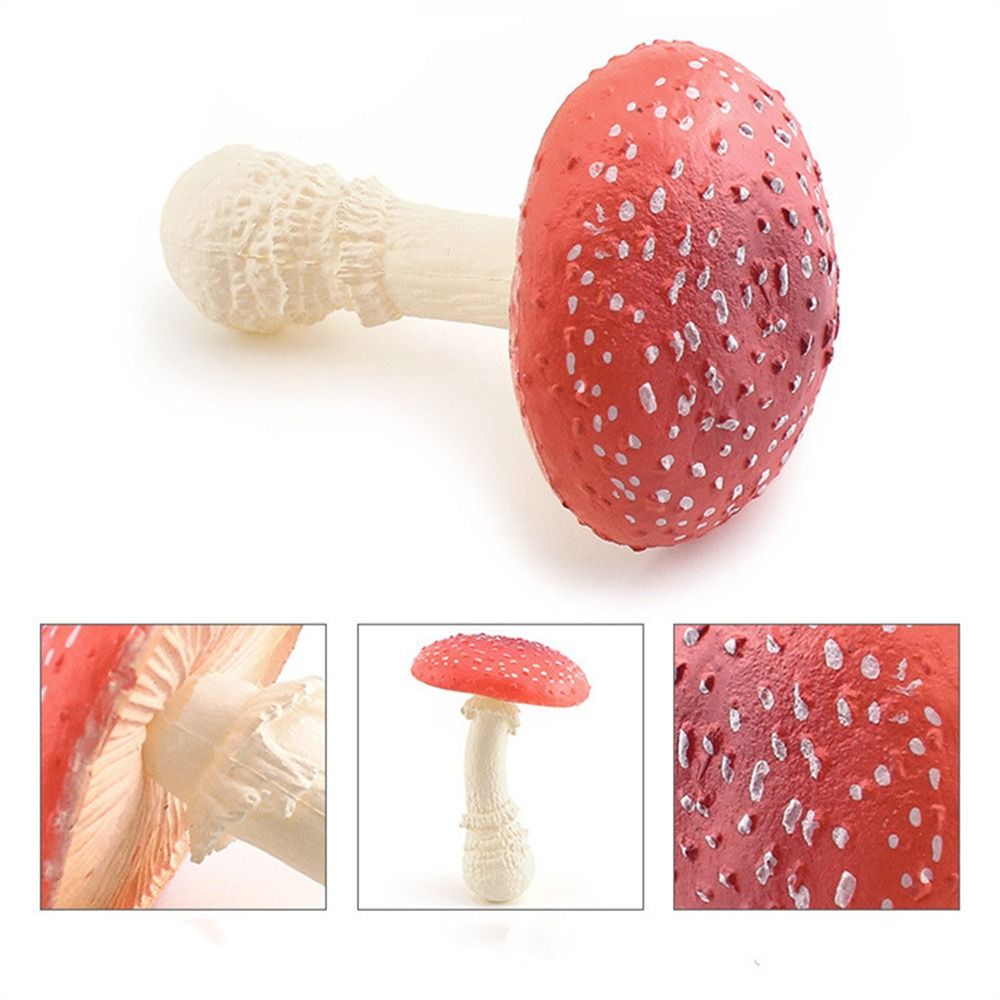 Modelo de vegetais estatuetas de fungos matsutake oyste simulação artificial cogumelo pleurotus planta modelo de fungo decoração de jardim