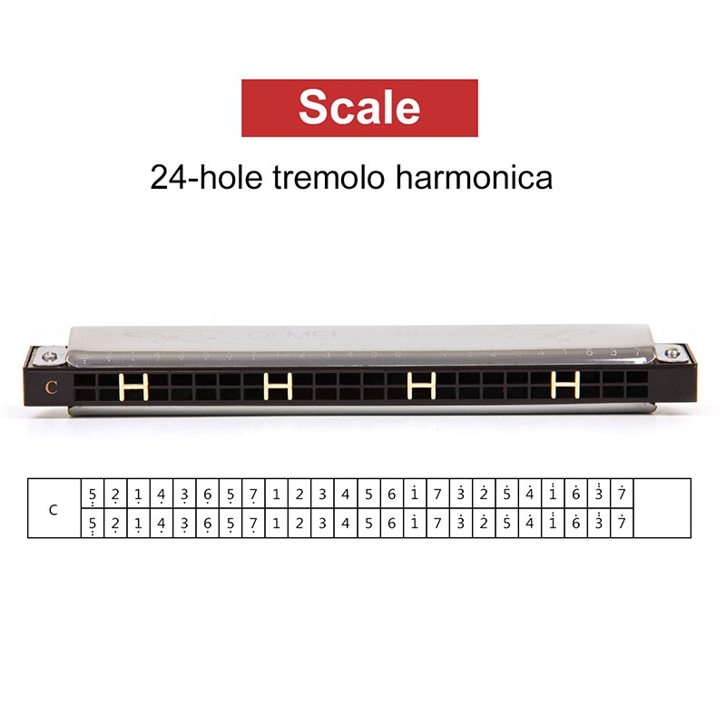 Tremolo Harmonica - 24 Holes - Phosphor Bronze Reeds - Key of C - French Harp