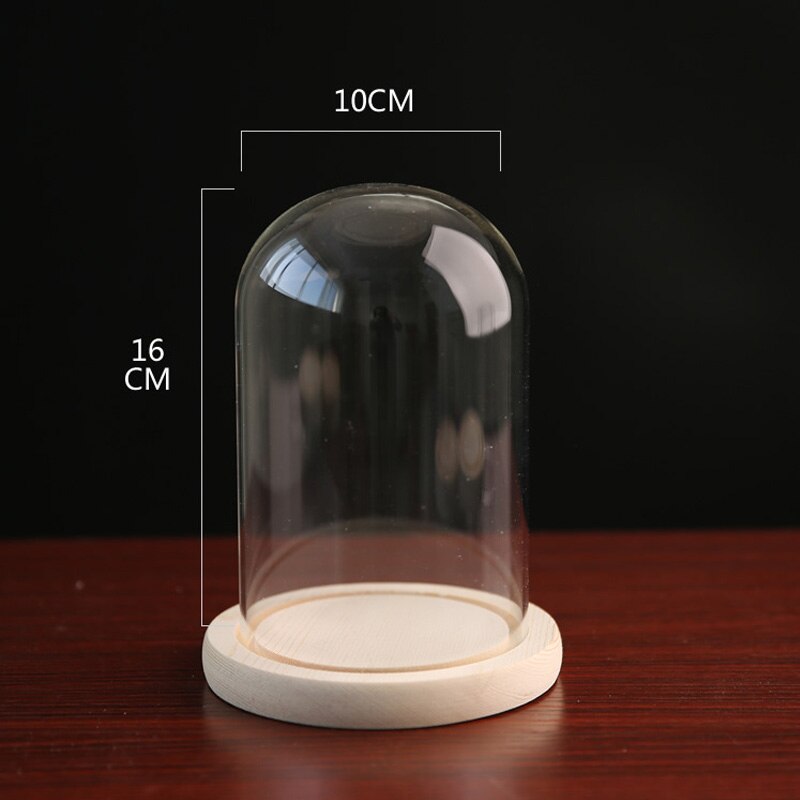 Klart glass display cloche bjelle ornamenter blomsterkrukke glassflaske med trebunn støvdeksel utstillingsboks udødelig blomsterkasse: 7