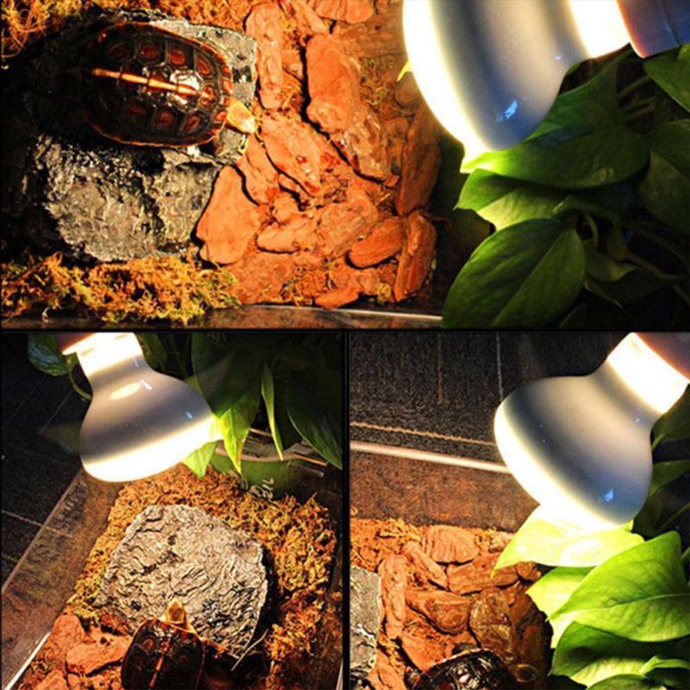 UVA UVB lampa gadów żarówka żółw wygrzewanie się światło ultrafioletowe żarówki temperatura światła lampy kontroler jaszczurki ogrzewanie żarówki płazy P9Q0