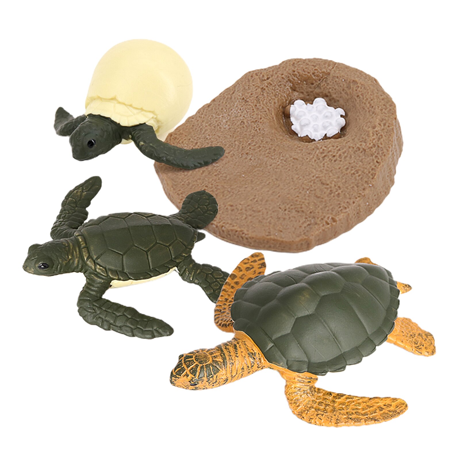 Modèle de Cycle de vie de tortue de mer 4 étape de croissance jouets de biologie Cognitive d'éducation d'enfants: sea turtle 2124