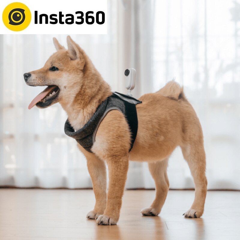Insta360 GO 2 Pet Strap Mount Original Accessories for Insta 360 GO 2