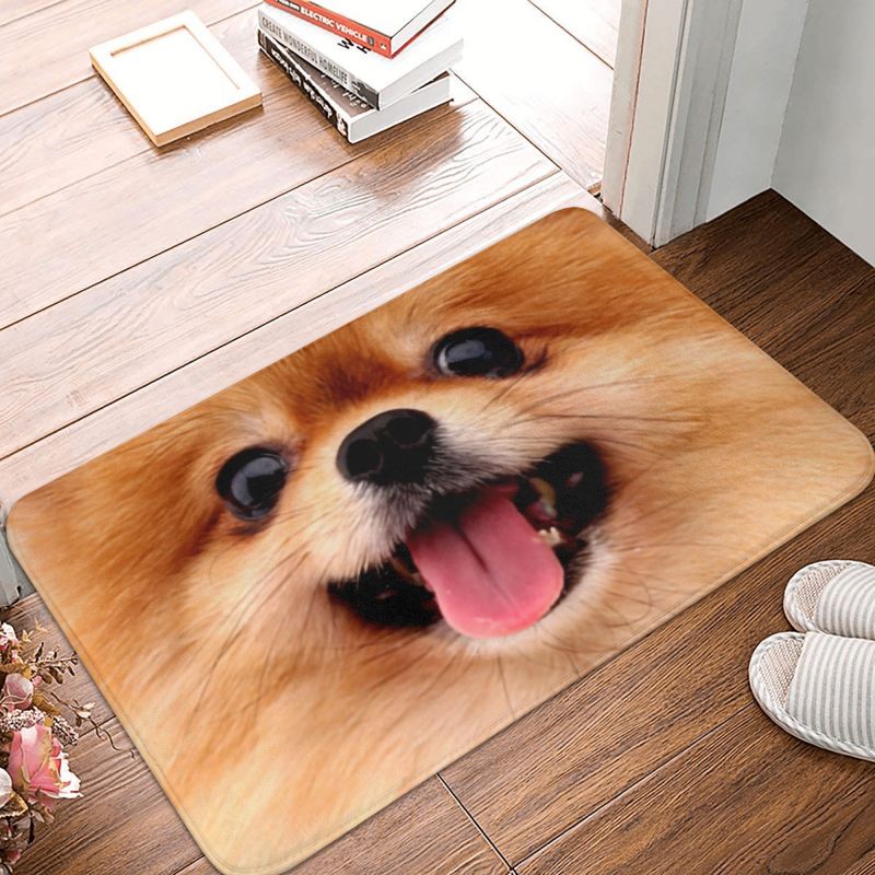 Pomeranian Welpe Bodentür Küche Badezimmer matt Anti-Rutsch draussen Spitz Pom Hund Fußmatt Garten Eingang Teppich Teppich Fußpolster